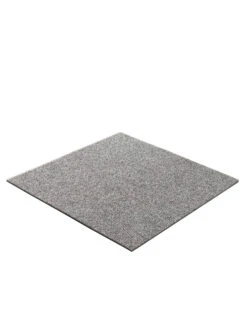 Teppichbodenfliese, Silber -Einrichtungsgeschäft 2995 29509 Perspektive