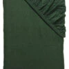 Flanell-Spannbetttuch, Tannengrün -Einrichtungsgeschäft Arosa Spannbetttuch gruen Tannengruen 100x200 pla