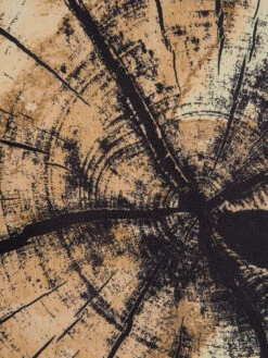 Leinwandbild, Dunkelgelb -Einrichtungsgeschäft Baumstamm Leinwandbild braun Dunkelgelb 60x90 lup3