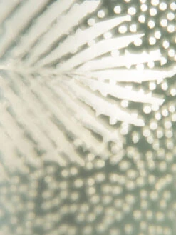 Teelichthalter, Hellgrün -Einrichtungsgeschäft BlaetterLightUp Teelichthalter Hellgruen 12x12x18 lup2