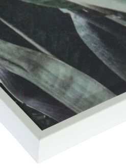 Leinwand-Druck-gerahmt, Grün -Einrichtungsgeschäft Botanik Druckgerahmt Gruen 50x70 lup2