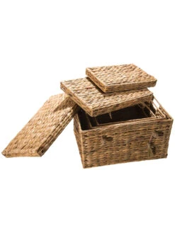 Box, Natur -Einrichtungsgeschäft BoxTrunk Box Hellbraun Natur set2