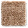 Velours-Teppichboden, Sahara 36 -Einrichtungsgeschäft Calvera Veloursteppichboden Braun Sahara36 10x10 lup