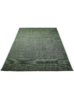 Moderner Teppich, Moosgrün -Einrichtungsgeschäft Cardiff ModernerTeppich Gruen Moosgruen 160x230 fper