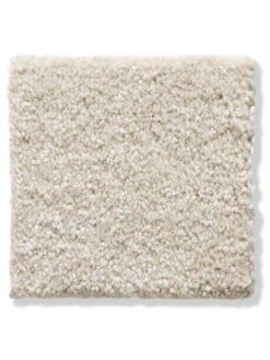 Velours-Teppichboden, Creme 35 -Einrichtungsgeschäft Cirella VeloursTeppichboden Beige Creme35 10x10 lup202