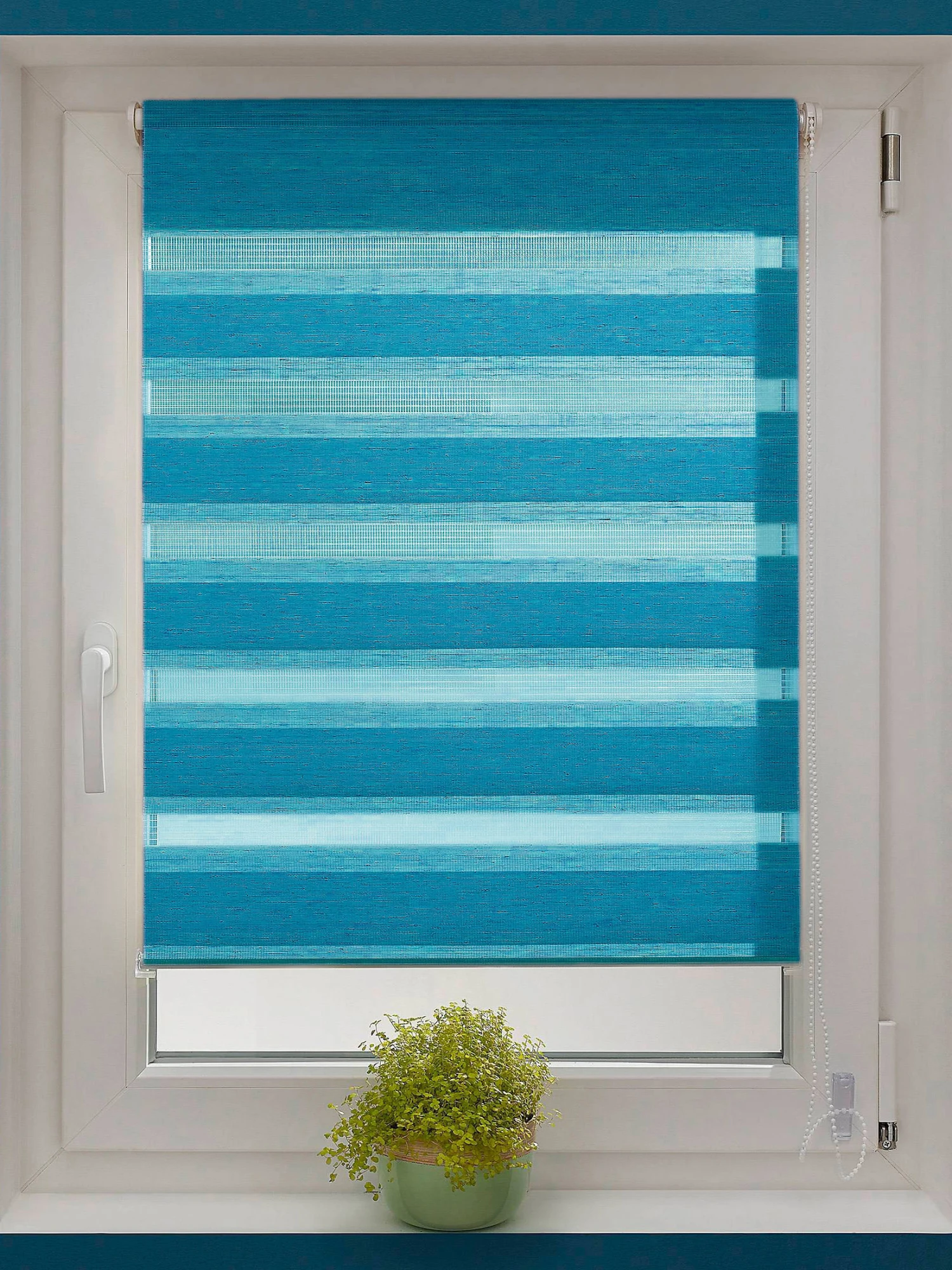 Rollo, Petrol 3 Rollo, Petrol