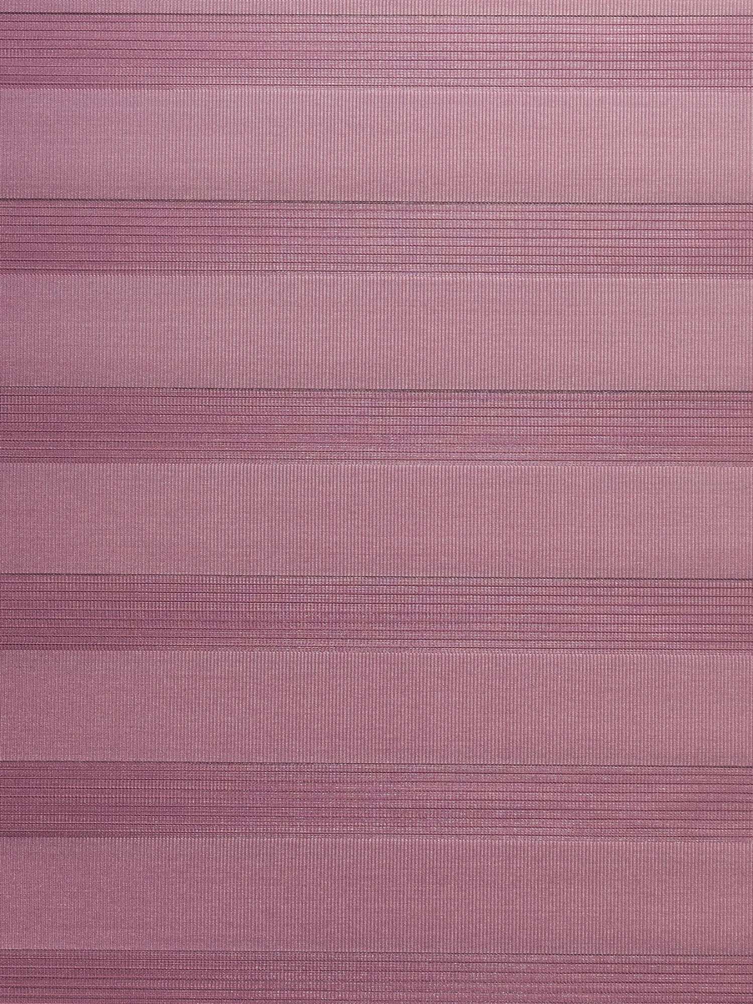 Rollo, Beere 6 Rollo, Beere – Bild 4