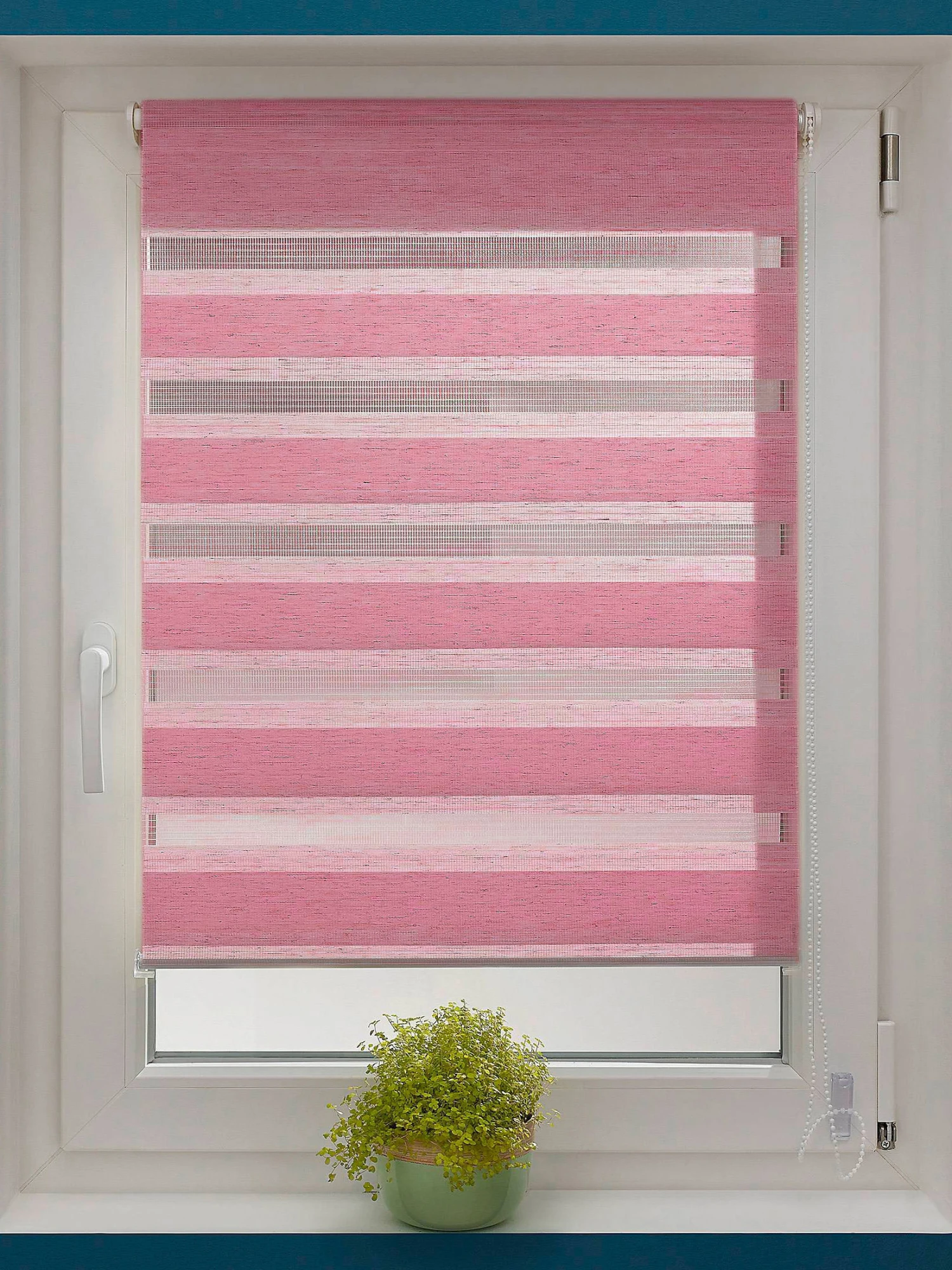 Rollo, Beere 3 Rollo, Beere