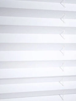 Plissee, Creme/Beige 7 Plissee, Creme/Beige -Einrichtungsgeschäft EasyPlisseeStar Plissee weiss Schneeweiss lup