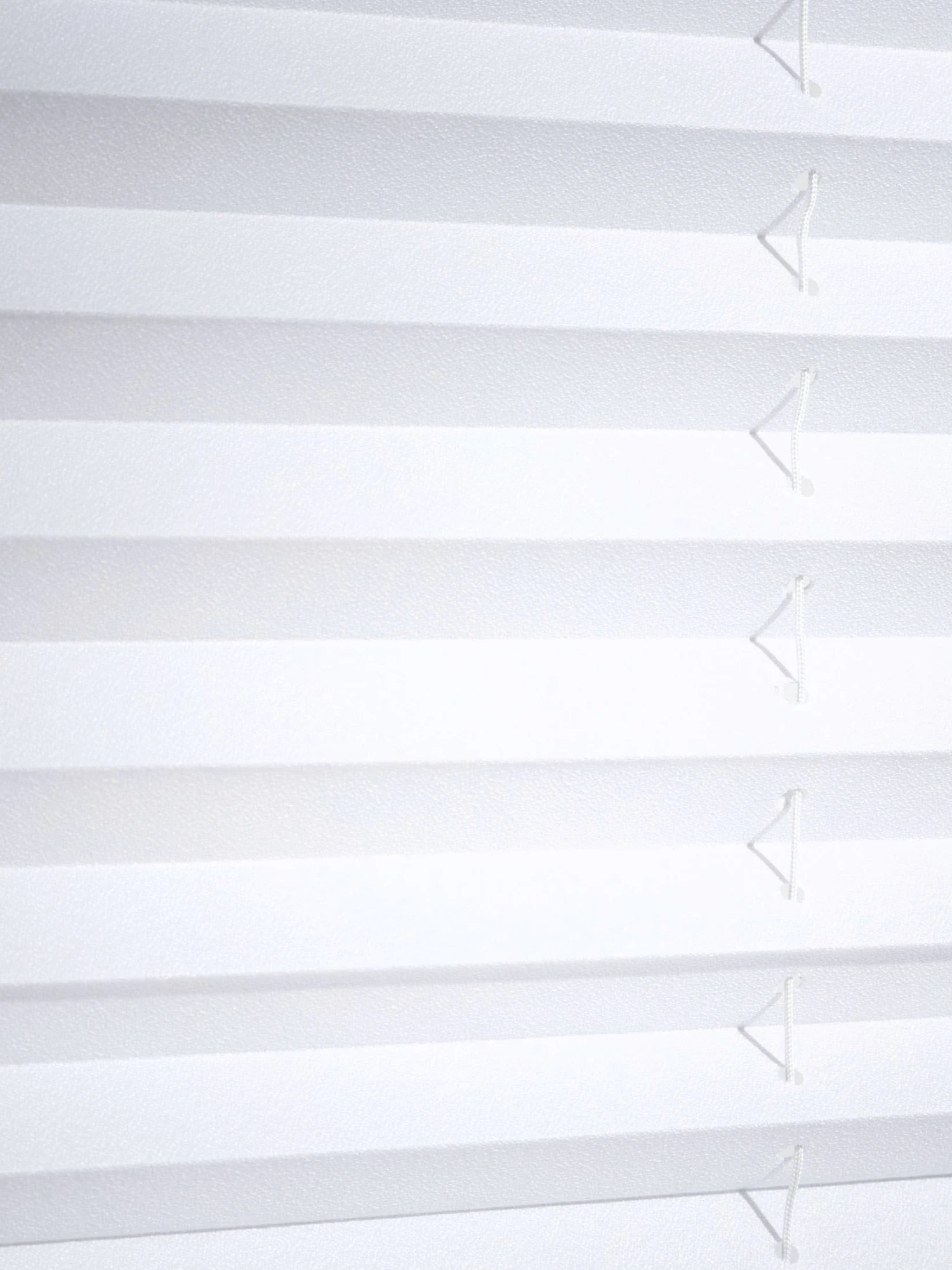 Plissee, Creme/Beige 5 Plissee, Creme/Beige – Bild 3