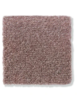 Velours-Teppichboden, Fraise 60 -Einrichtungsgeschäft Emotion Veloursteppichboden rosa fraise60 lup2a