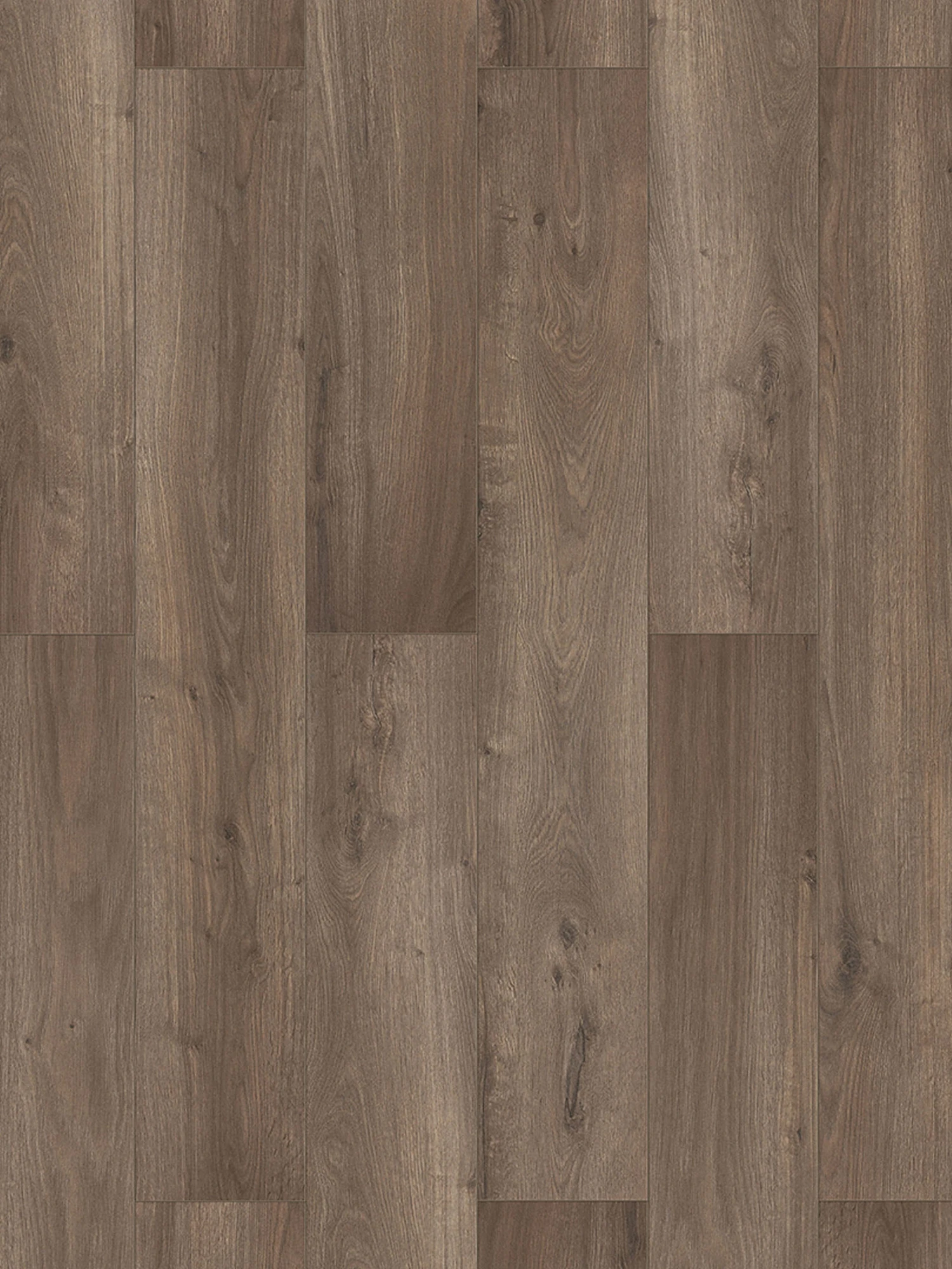 Klick-Laminat, Greywood Oak 62298 5 Klick-Laminat, Greywood Oak 62298 – Bild 3