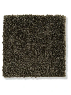 Velours-Teppichboden, Forest 5 Velours-Teppichboden, Forest -Einrichtungsgeschäft GreenLine VeloursTeppichboden Dunkelgruen Forest 590 lup