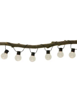 Lichterkette, Transparent -Einrichtungsgeschäft LightBulb Lichterkette Transparent 200 per2
