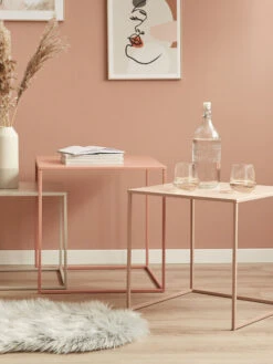 Tisch, Koralle 12 Tisch, Koralle -Einrichtungsgeschäft Liona Tisch Set mil