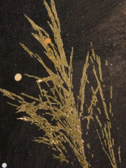 Leinwand Druck, Braun -Einrichtungsgeschäft LoeweimGras LeinwandDruck Braun 80x80 lup2