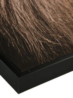 Leinwand-Druck-gerahmt, Braun -Einrichtungsgeschäft Loewenkoenig Druckgerahmt Braun 50x70 lup2