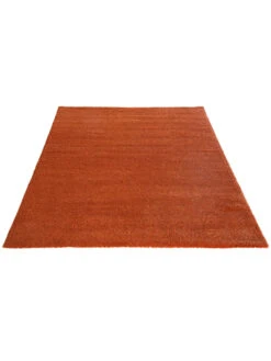 Hochflor-Teppich, Terra 9 Hochflor-Teppich, Terra -Einrichtungsgeschäft Marten Hochflorteppich Terracotta Terra 160x230 fper