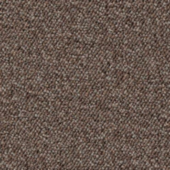 Schlingen-Teppichboden, Hellbraun 37 -Einrichtungsgeschäft Optimal Schlingenteppichboden hellbraun 37 lup1