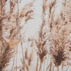 Leinwand-Druck-gerahmt, Dunkelbeige -Einrichtungsgeschäft Parat Druckgerahmt Beige Dunkelbeige 52x72 lup