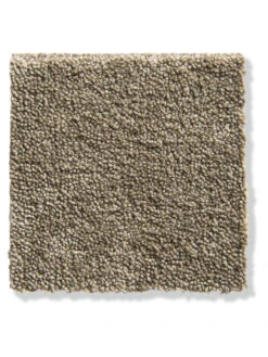 Velours-Teppichboden, Cappuccino 92 -Einrichtungsgeschäft Parma Veloursteppichboden Beige Cappuccino492 lup