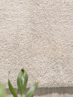 Hochflor-Teppich, Cream -Einrichtungsgeschäft Sensation HochflorTeppich creme cream 160x230 spar