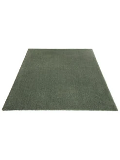 Hochflor-Teppich, Moosgrün 8 Hochflor-Teppich, Moosgrün -Einrichtungsgeschäft Sensation UniTeppich Gruen Moosgruen 160x230 fper