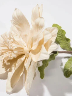 Kunstblume, Hellbeige -Einrichtungsgeschäft Softflower Kunstblume Creme Hellbeige 10x112 lup