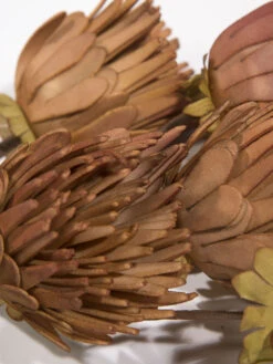 Kunstblume, Orange -Einrichtungsgeschäft Softflower Kunstblume Terra Orange 103 lup