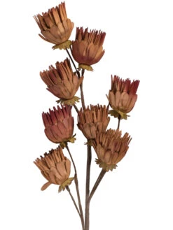 Kunstblume, Orange -Einrichtungsgeschäft Softflower Kunstblume Terra Orange 103 pla2