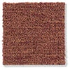 Schlingen-Teppichboden, Terra 38 -Einrichtungsgeschäft Triton Schlingenteppichboden terrakotta Terra38 10x10 lup